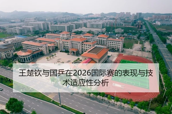王楚钦与国乒在2026国际赛的表现与技术适应性分析