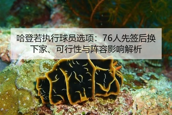 ha-deng-ruo-zhi-xing-qiu-yuan-xuan-xiang-ren-xian-qian-hou-huan-xia-jia-ke-xing-xing-yu-zhen-rong-ying-xiang-jie-xi-2-523.jpg