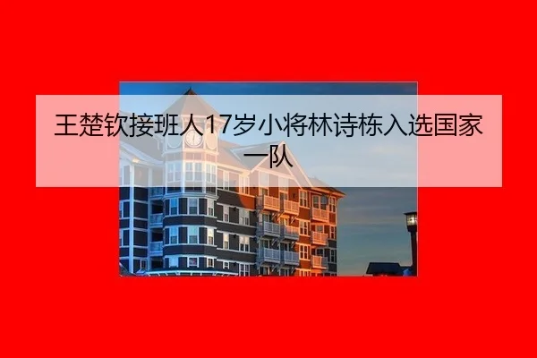 王楚钦接班人17岁小将林诗栋入选国家一队