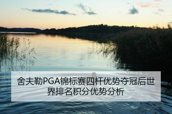 she-fu-lei-jin-biao-sai-si-gan-you-shi-duo-guan-hou-shi-jie-pai-ming-ji-fen-you-shi-fen-xi-3-885.jpg
