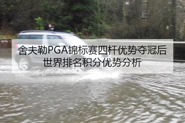 舍夫勒PGA锦标赛四杆优势夺冠后世界排名积分优势分析