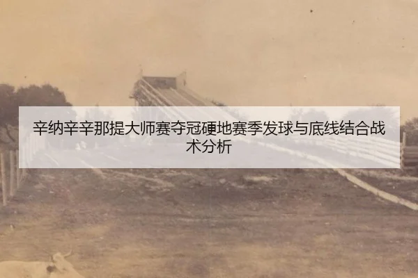 辛纳辛辛那提大师赛夺冠硬地赛季发球与底线结合战术分析