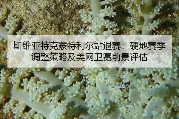 斯维亚特克蒙特利尔站退赛：硬地赛季调整策略及美网卫冕前景评估