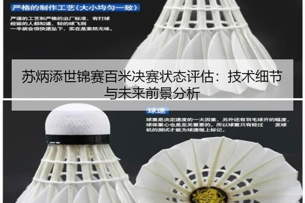 su-bing-tian-shi-jin-sai-bai-mi-jue-sai-zhuang-tai-ping-gu-ji-shu-xi-jie-yu-wei-lai-qian-jing-fen-xi-3-517.jpg